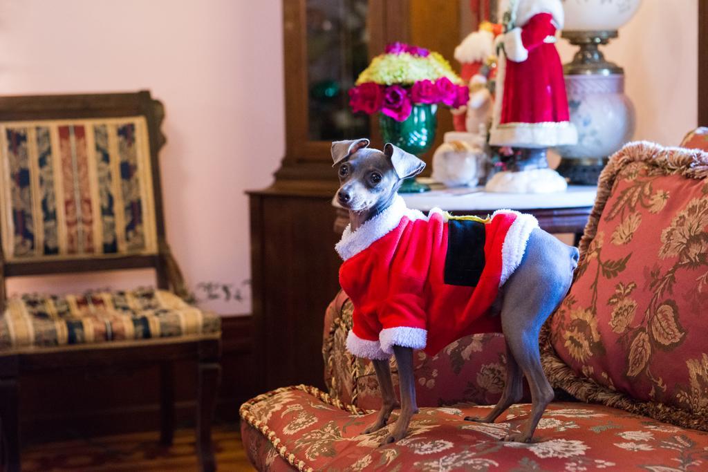 The Gables Bed And Breakfast フィラデルフィア エクステリア 写真