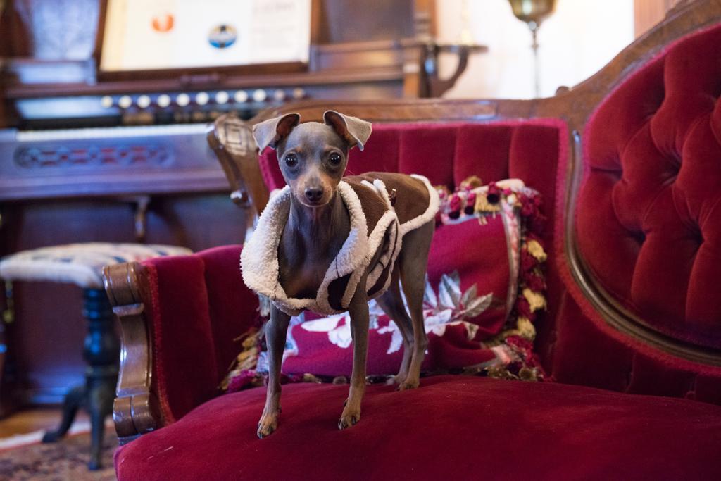 The Gables Bed And Breakfast フィラデルフィア エクステリア 写真